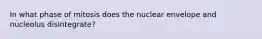 In what phase of mitosis does the nuclear envelope and nucleolus disintegrate?