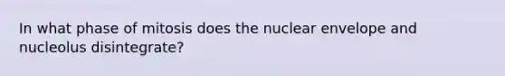 In what phase of mitosis does the nuclear envelope and nucleolus disintegrate?