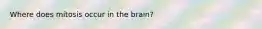 Where does mitosis occur in the brain?