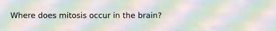 Where does mitosis occur in the brain?