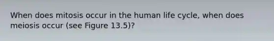 When does mitosis occur in the human life cycle, when does meiosis occur (see Figure 13.5)?