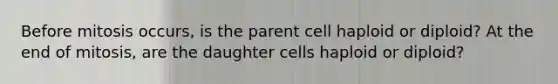 Before mitosis occurs, is the parent cell haploid or diploid? At the end of mitosis, are the daughter cells haploid or diploid?