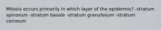 Mitosis occurs primarily in which layer of the epidermis? -stratum spinosum -stratum basale -stratum granulosum -stratum corneum