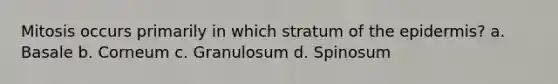 Mitosis occurs primarily in which stratum of the epidermis? a. Basale b. Corneum c. Granulosum d. Spinosum