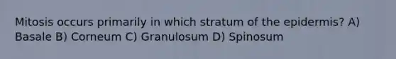 Mitosis occurs primarily in which stratum of <a href='https://www.questionai.com/knowledge/kBFgQMpq6s-the-epidermis' class='anchor-knowledge'>the epidermis</a>? A) Basale B) Corneum C) Granulosum D) Spinosum