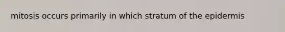 mitosis occurs primarily in which stratum of the epidermis