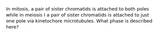 In mitosis, a pair of sister chromatids is attached to both poles while in meiosis I a pair of sister chromatids is attached to just one pole via kinetochore microtubules. What phase is described here?