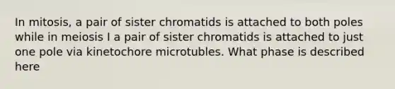 In mitosis, a pair of sister chromatids is attached to both poles while in meiosis I a pair of sister chromatids is attached to just one pole via kinetochore microtubles. What phase is described here