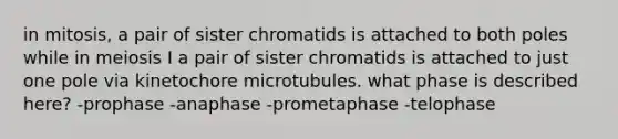 in mitosis, a pair of sister chromatids is attached to both poles while in meiosis I a pair of sister chromatids is attached to just one pole via kinetochore microtubules. what phase is described here? -prophase -anaphase -prometaphase -telophase