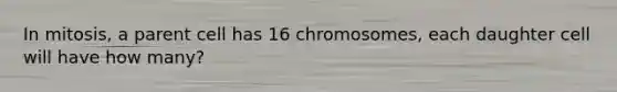 In mitosis, a parent cell has 16 chromosomes, each daughter cell will have how many?