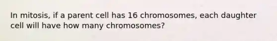 ​In mitosis, if a parent cell has 16 chromosomes, each daughter cell will have how many chromosomes?