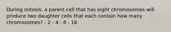 During mitosis, a parent cell that has eight chromosomes will produce two daughter cells that each contain how many chromosomes? - 2 - 4 - 8 - 16