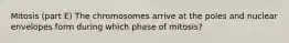 Mitosis (part E) The chromosomes arrive at the poles and nuclear envelopes form during which phase of mitosis?