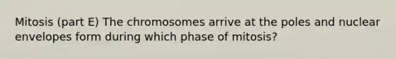 Mitosis (part E) The chromosomes arrive at the poles and nuclear envelopes form during which phase of mitosis?