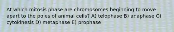 At which mitosis phase are chromosomes beginning to move apart to the poles of animal cells? A) telophase B) anaphase C) cytokinesis D) metaphase E) prophase