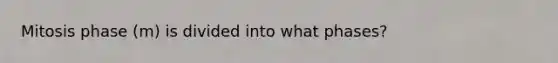 Mitosis phase (m) is divided into what phases?