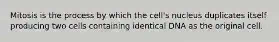 Mitosis is the process by which the cell's nucleus duplicates itself producing two cells containing identical DNA as the original cell.