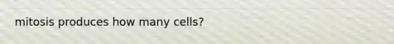 mitosis produces how many cells?