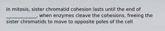 In mitosis, sister chromatid cohesion lasts until the end of _____________, when enzymes cleave the cohesions, freeing the sister chromatids to move to opposite poles of the cell