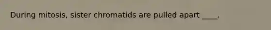 During mitosis, sister chromatids are pulled apart ____.