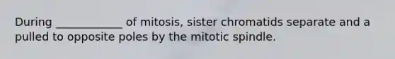 During ____________ of mitosis, sister chromatids separate and a pulled to opposite poles by the mitotic spindle.