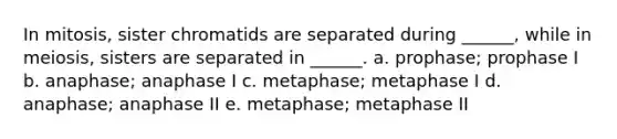 In mitosis, sister chromatids are separated during ______, while in meiosis, sisters are separated in ______. a. prophase; prophase I b. anaphase; anaphase I c. metaphase; metaphase I d. anaphase; anaphase II e. metaphase; metaphase II