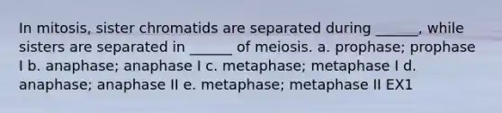 In mitosis, sister chromatids are separated during ______, while sisters are separated in ______ of meiosis. a. prophase; prophase I b. anaphase; anaphase I c. metaphase; metaphase I d. anaphase; anaphase II e. metaphase; metaphase II EX1