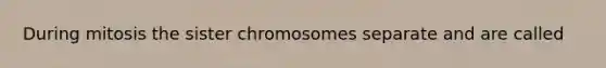 During mitosis the sister chromosomes separate and are called