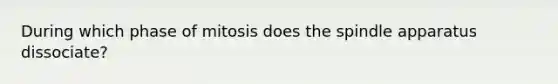 During which phase of mitosis does the spindle apparatus dissociate?