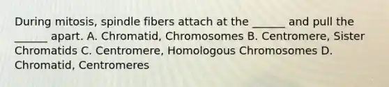 During mitosis, spindle fibers attach at the ______ and pull the ______ apart. A. Chromatid, Chromosomes B. Centromere, Sister Chromatids C. Centromere, Homologous Chromosomes D. Chromatid, Centromeres