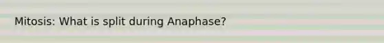 Mitosis: What is split during Anaphase?