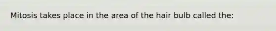 Mitosis takes place in the area of the hair bulb called the: