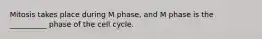 Mitosis takes place during M phase, and M phase is the __________ phase of the cell cycle.