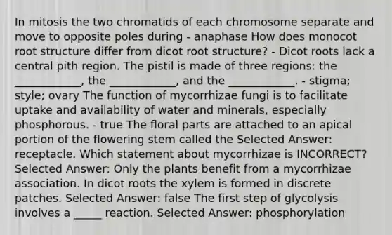 In mitosis the two chromatids of each chromosome separate and move to opposite poles during - anaphase How does monocot root structure differ from dicot root structure? - Dicot roots lack a central pith region. The pistil is made of three regions: the ____________, the ____________, and the ____________. - stigma; style; ovary The function of mycorrhizae fungi is to facilitate uptake and availability of water and minerals, especially phosphorous. - true The floral parts are attached to an apical portion of the flowering stem called the Selected Answer: receptacle. Which statement about mycorrhizae is INCORRECT? Selected Answer: Only the plants benefit from a mycorrhizae association. In dicot roots the xylem is formed in discrete patches. Selected Answer: false The first step of glycolysis involves a _____ reaction. Selected Answer: phosphorylation