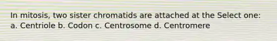 In mitosis, two sister chromatids are attached at the Select one: a. Centriole b. Codon c. Centrosome d. Centromere