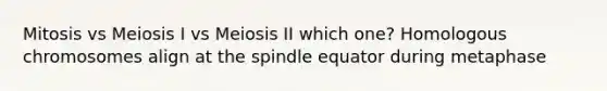 Mitosis vs Meiosis I vs Meiosis II which one? Homologous chromosomes align at the spindle equator during metaphase