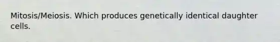 Mitosis/Meiosis. Which produces genetically identical daughter cells.