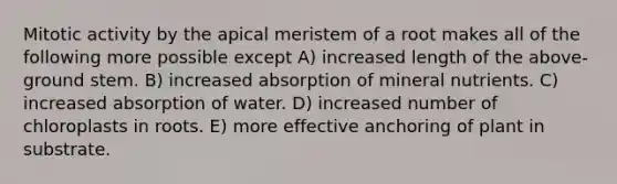 Mitotic activity by the apical meristem of a root makes all of the following more possible except A) increased length of the above-ground stem. B) increased absorption of mineral nutrients. C) increased absorption of water. D) increased number of chloroplasts in roots. E) more effective anchoring of plant in substrate.