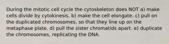 During the mitotic cell cycle the cytoskeleton does NOT a) make cells divide by cytokinesis. b) make the cell elongate. c) pull on the duplicated chromosomes, so that they line up on the metaphase plate. d) pull the sister chromatids apart. e) duplicate the chromosomes, replicating the DNA.