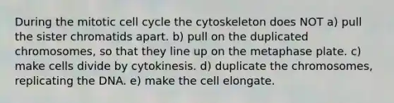 During the mitotic cell cycle the cytoskeleton does NOT a) pull the sister chromatids apart. b) pull on the duplicated chromosomes, so that they line up on the metaphase plate. c) make cells divide by cytokinesis. d) duplicate the chromosomes, replicating the DNA. e) make the cell elongate.