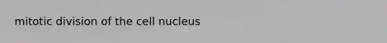 mitotic division of the <a href='https://www.questionai.com/knowledge/ksZq6y1LRD-cell-nucleus' class='anchor-knowledge'>cell nucleus</a>