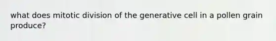 what does mitotic division of the generative cell in a pollen grain produce?