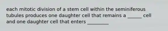 each mitotic division of a stem cell within the seminiferous tubules produces one daughter cell that remains a ______ cell and one daughter cell that enters _________