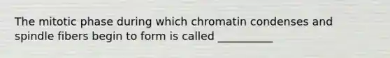 The mitotic phase during which chromatin condenses and spindle fibers begin to form is called __________
