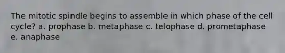 The mitotic spindle begins to assemble in which phase of the cell cycle? a. prophase b. metaphase c. telophase d. prometaphase e. anaphase