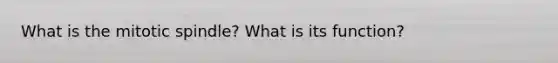 What is the mitotic spindle? What is its function?