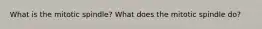 What is the mitotic spindle? What does the mitotic spindle do?