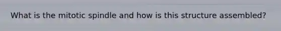 What is the mitotic spindle and how is this structure assembled?