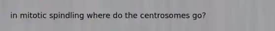 in mitotic spindling where do the centrosomes go?