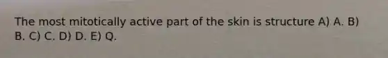 The most mitotically active part of the skin is structure A) A. B) B. C) C. D) D. E) Q.